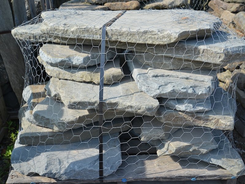 Tumbled Bluestone Steppers 